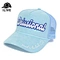 Suede Mesh Cap